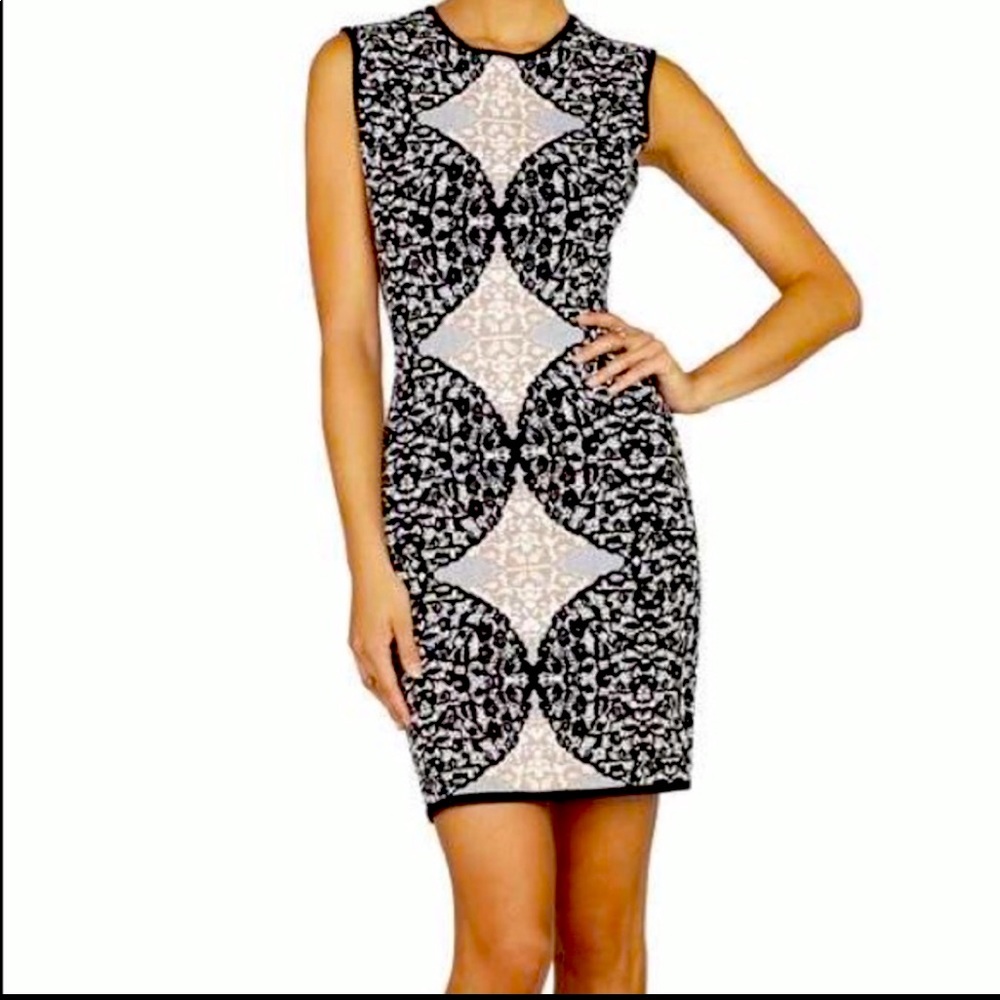 BCBG ponte sleeveless dress